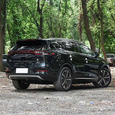 電動車 バイド・ハンE6 排量2.0-2.6L グレー/ブルー/ホワイト イルカ チャンキッド