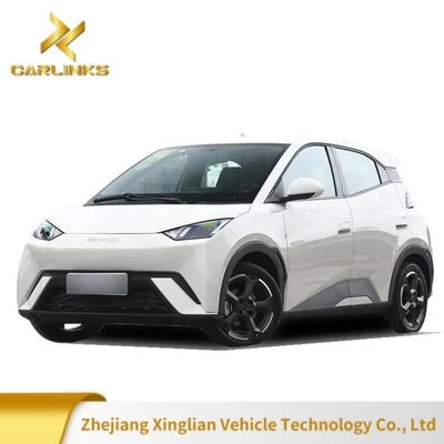 オーダーメイド リクエスト 2024 バイド・シー・ガイル 電気自動車