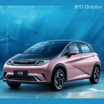 Byd 2023 ドルフィン Dm-I Cltc 420km シングルモーター オンラインサポート 販売後サービス