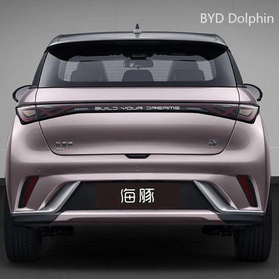 電動移動に革命を起こす バイド・ドルフィン 800Wの電力とカスタマイズ