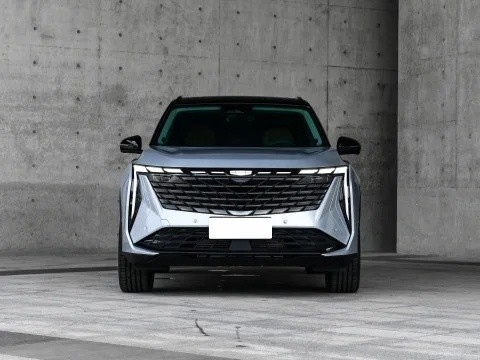 使用寿命 ≤1年 ジーリー・ボーイ・L エネルギー用車 自動車 道路用ガソリン用SUV