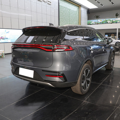 ビッド・タン・DMチャンピオン・エディション 2023 エレクトリコ グレー・ブルー・ホワイト SUV エレクトリック・アダルト・カー