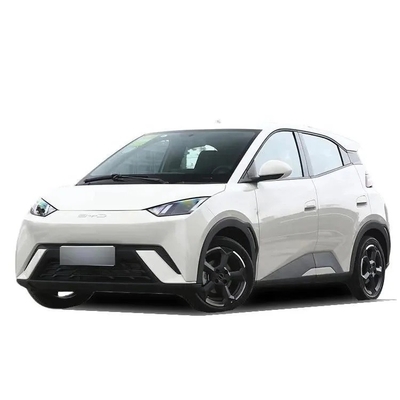 駐車場 360 パノプティック画像システム はい バイド シガール 305km エネルギー EV 純電動セダン