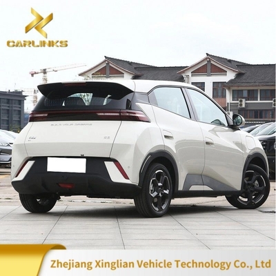 バイド・シーガイル 305km 小型車 エネルギー用車 EV 電動車 100km 電力消費