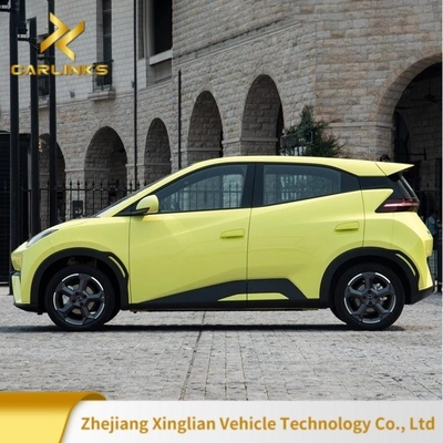 バイド・シーガイル 305km 小型車 エネルギー用車 EV 電動車 100km 電力消費