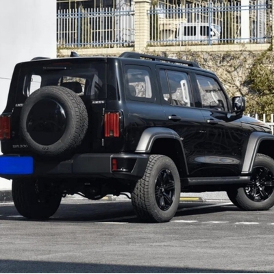 チェンチェンタンク300 2024 2.0t コンベーラー カーシート5と自動トランスミッションシステム