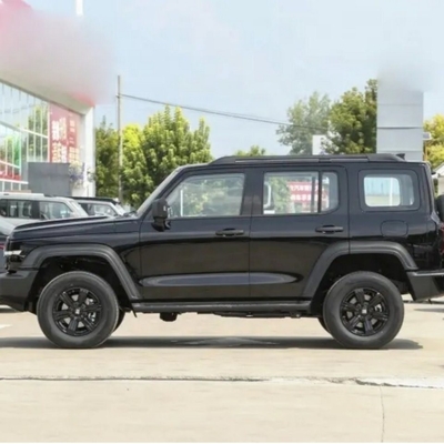 チェンチェンタンク300 2024 2.0t コンベーラー カーシート5と自動トランスミッションシステム