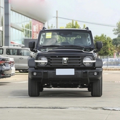 ガソリンタンク300 2023モデル 2.0t アイアンライダー 02 SUV 5人座 性能