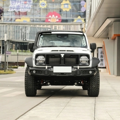 ガソリンタンク300 2023モデル 2.0t アイアンライダー 02 機械制動システム付きSUV