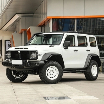 ガソリンタンク300 2023モデル 2.0t アイアンライダー 02 機械制動システム付きSUV