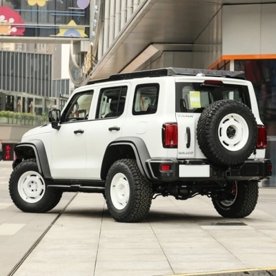 ガソリンタンク300 2023モデル 2.0t アイアンライダー 02 機械制動システム付きSUV