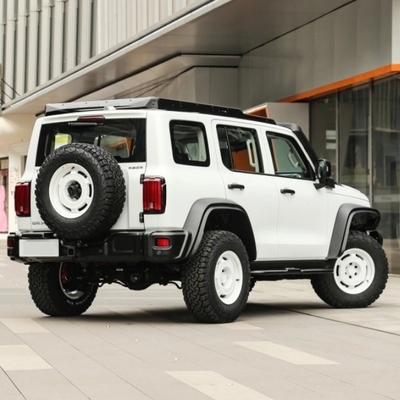 ガソリンタンク300 2023モデル 2.0t アイアンライダー 02 機械制動システム付きSUV