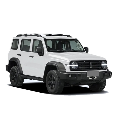 中国のタンク300SUV 2.0t 227PS L4 8at カスタムモデルカー 黒外装色