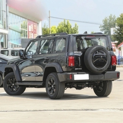 中国のガソリンSUV 2023 チャンチェンタンク300 2.0t 02 機械式ブレーキシステム