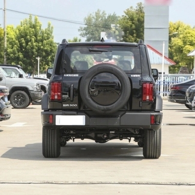 ISO10012認定左方向タンク300 SUV 2024モデル 2.0t Cuirass 02 ガソリンカー