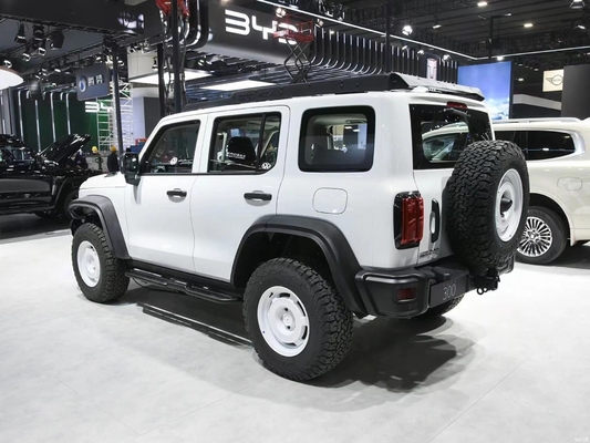 オープン・ボディタイプ カスタマイズ グランド・ウォール・タンク 300 2023 オフロード2.0t 強い騎兵 02