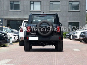 ガソリンガソリン車 Gwm Tank 300 2024 3.0 チャレンジタンク 500 400 SUV 大人用 5ドア