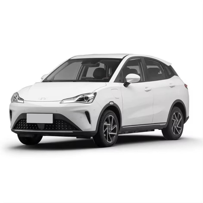 多色小型SUV 長距離318km ネタネジャアヤカー ネタネジャアヤエネルギー車両
