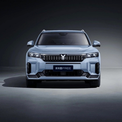 ボヤフリー 2024 長バッテリー寿命 インテリジェント・ドライビング・エディション EV 家庭用電気自動車