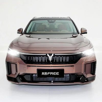 490PS Voyah 無料 2024 長電池寿命 インテリジェント運転版 EV 電池SUV 中古