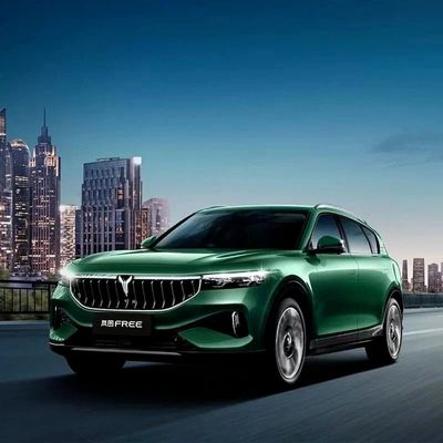 490PS Voyah 無料 2024 長電池寿命 インテリジェント運転版 EV 電池SUV 中古