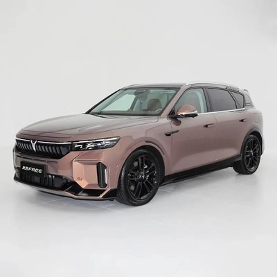 カスタマイズされた要求 2024 ヴォヤ フリーと大きなスクリーン 5 ドア 5 座席 SUV 車両