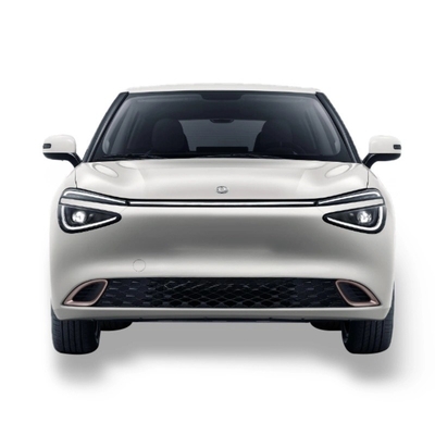 2024年 東フェンナノ01 ミニ電動車 閉車型 5人座 車 格安