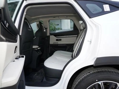 メイドSUV 2023モデル1.6t 5ドア5座ガソリンカー Jietu Dashengによるカスタマイズ