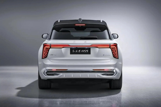 グレーカラー 2023 香港・E-HS9 車体 EU 充電器 DC 690km フラグ・ユエ・エディション 7人乗り